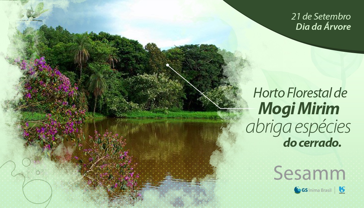 Horto Florestal de Mogi Mirim abriga espécies do cerrado.