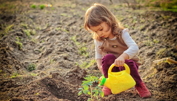 Semana do Meio Ambiente